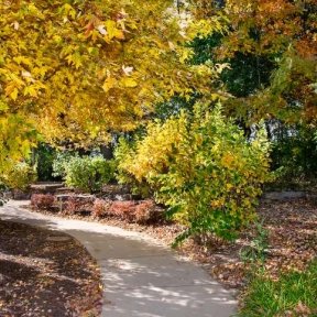 nature trail in IL