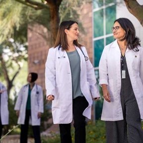 Doctors walking together with a scenic background