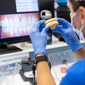 Dentist examining teeth mold