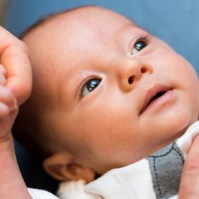 Baby holding hand closeup.