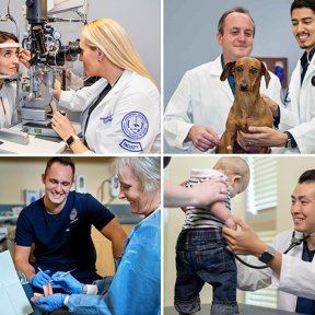 Collage of clinic services.