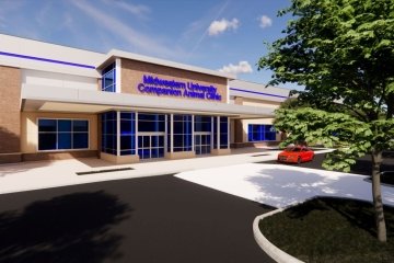 Artistic rendering of animal clinic