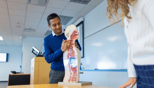 Professor pointing to teaching tool of person’s throat