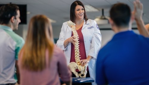 Teacher showing skeletal spine to students