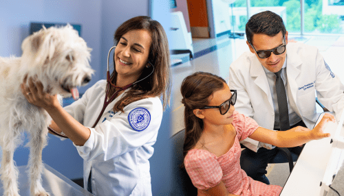 animal health and patient  health clinics