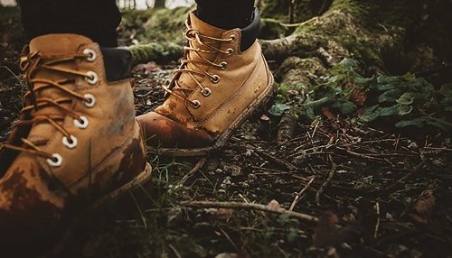 Person with muddy hiking boots walking in a forested area.