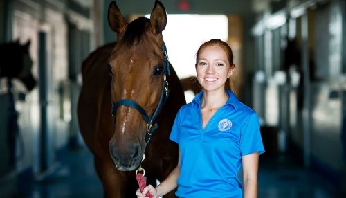 Horse and student at Large Animal Clinic