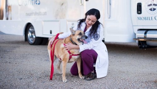 Dr Kriesler kneelin in front of mobile clinic with a standing Dog.