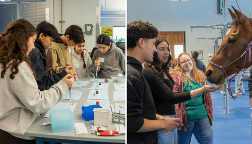 collage of students learning about health sciences