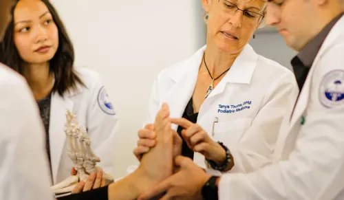 Doctors inspecting foot.
